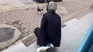 İnsanlığın Bittiği An! Kediyi Sevmek İçin Çağırıp Yüzüne Kimyasal Sıktı