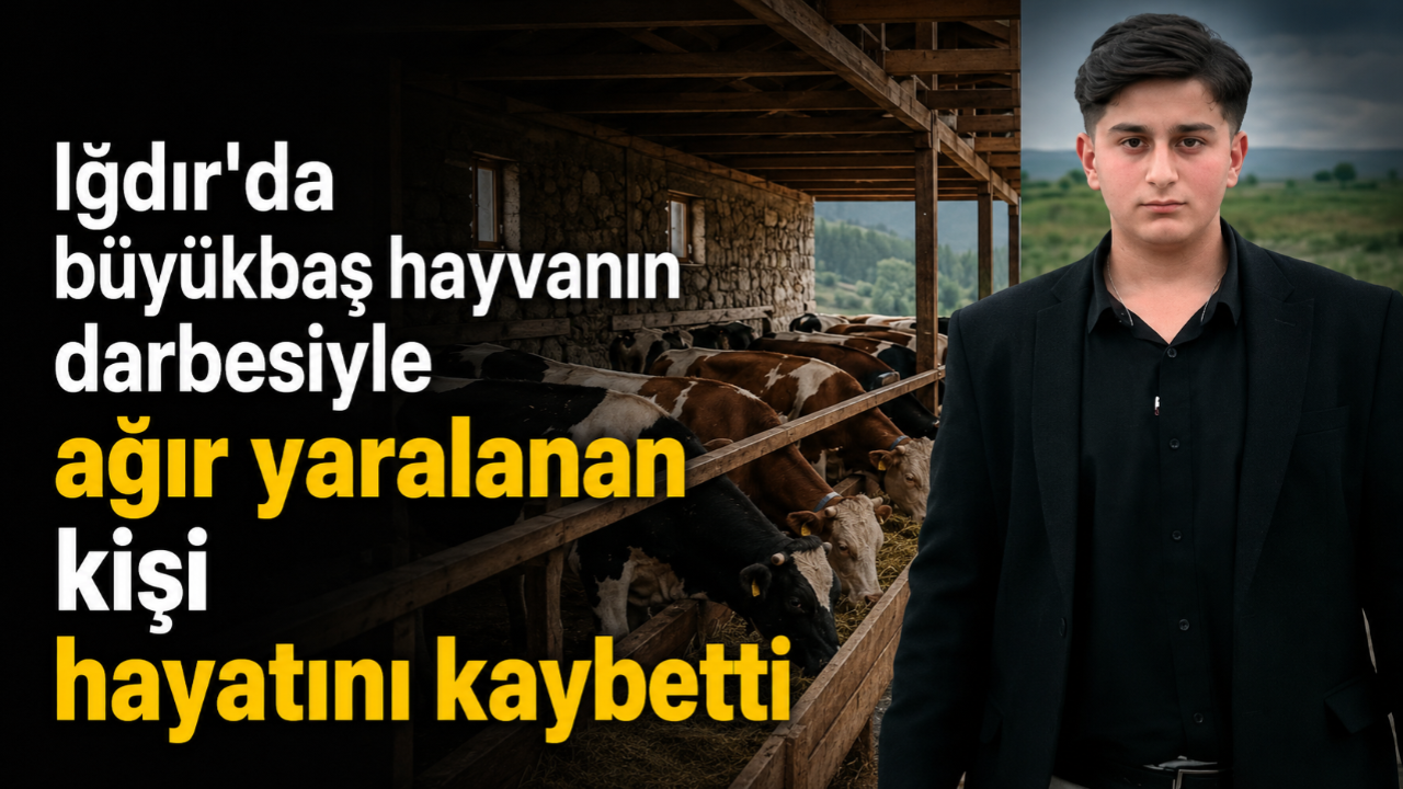 Iğdır'da büyükbaş hayvanın darbesiyle ağır yaralanan kişi hayatını kaybetti