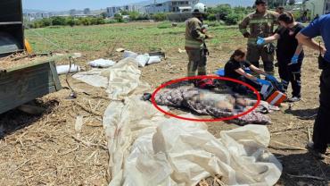 Hatay'da tarım makinesine sıkışan işçi öldü