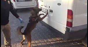 Van'da Uyuşturucu Operasyonu